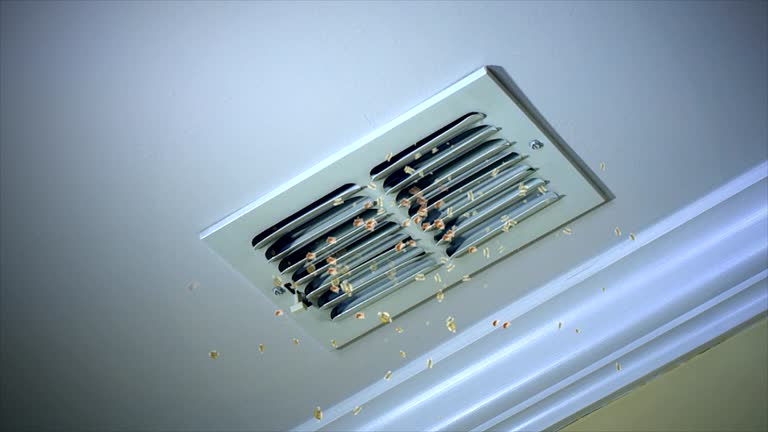 Best Local Air Duct Cleaning Services  in Plymouth, WI